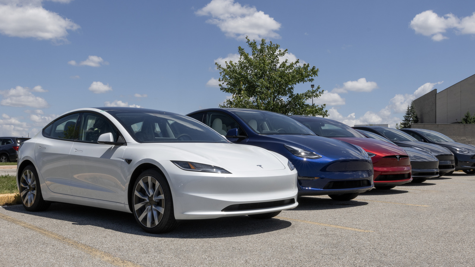 Tesla Color Guide: коды краски, типы отделки и сколько они стоят