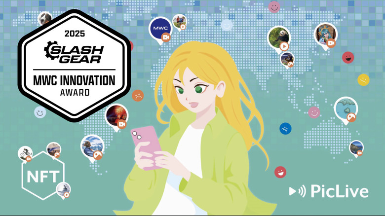 Художественное описание платформы Piclive Social Media