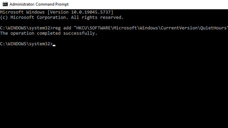 Экриншот командной строки в Windows 11