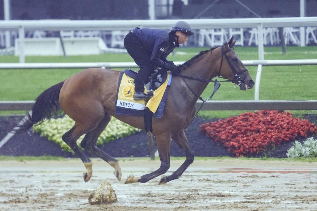 2025 Черноглазы