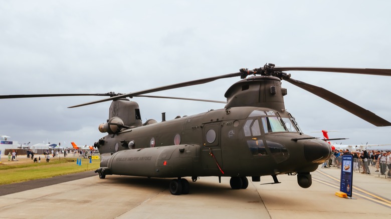Boeing CH-47F Chinook припарковался в аэропорту на такси во время авиашоу, вид на передний карт