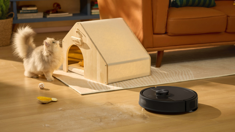 Вакуум Roborock рядом с кошкой