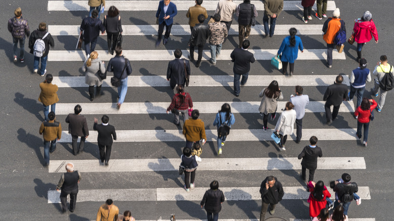 Несколько человек пересекают дорогу, используя пересечение зебры