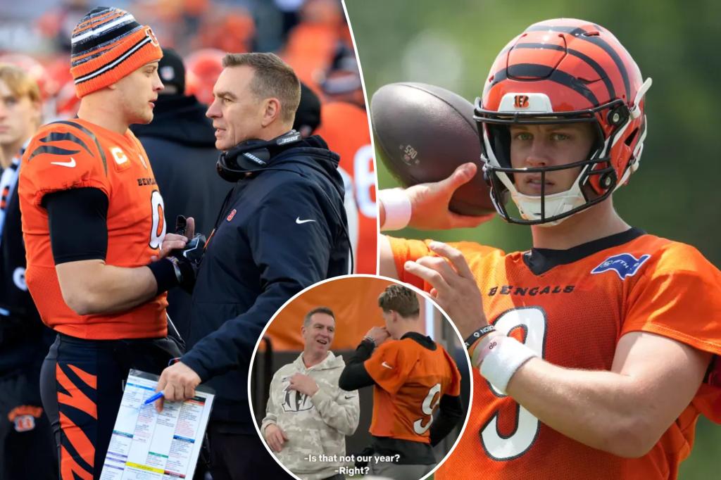 Бывший координатор Bengals Лу Анарумо выкрикивает New York Post в «защитнике» Netflix