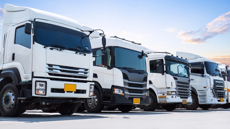 Полу грузовиков выстроились в очередь