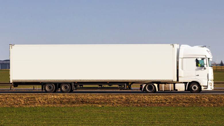 Вид на сторону длинного белого полуприцеп с травянистым передним планом