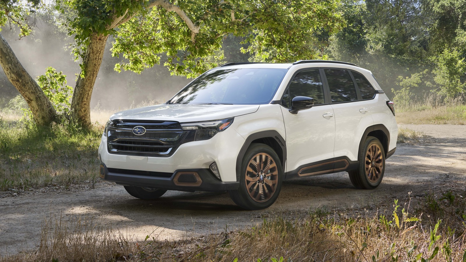 Каковы недостатки Subaru Forester? Взгляд на плюсы и минусы внедорожника