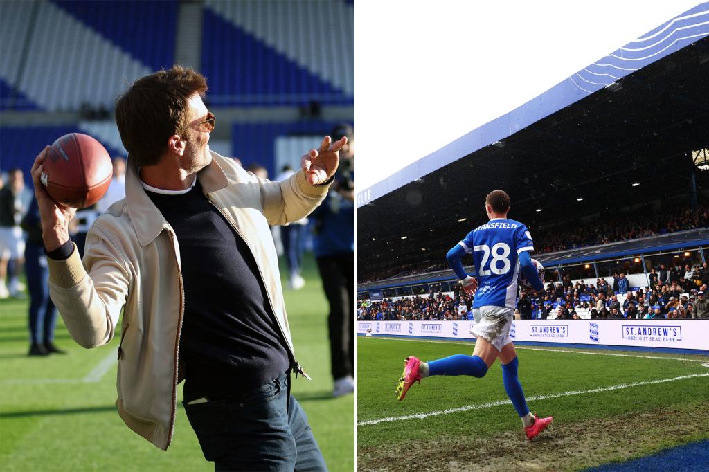 Брэди и Блюз бесплатно