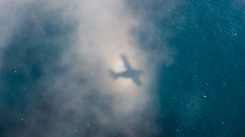 Тень самолета появляется в ореоле света над водой