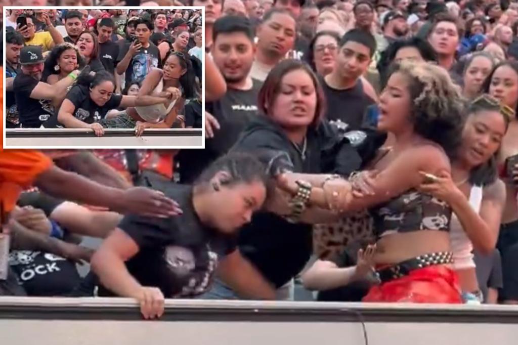 Brawl Breaking между поклонниками во время WWE Summerslam в воскресенье вечером на стадионе MetLife Stadium