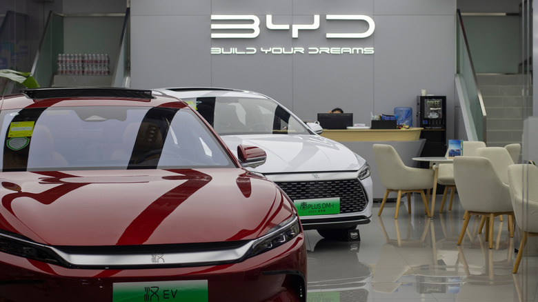 Китайские автомобили BYD в выставочном зале в Китае