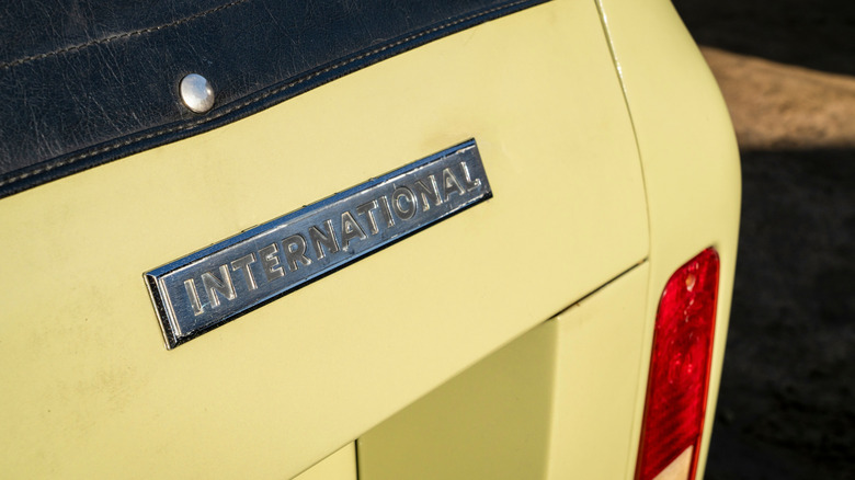 Крупный план международного логотипа на международном скауте