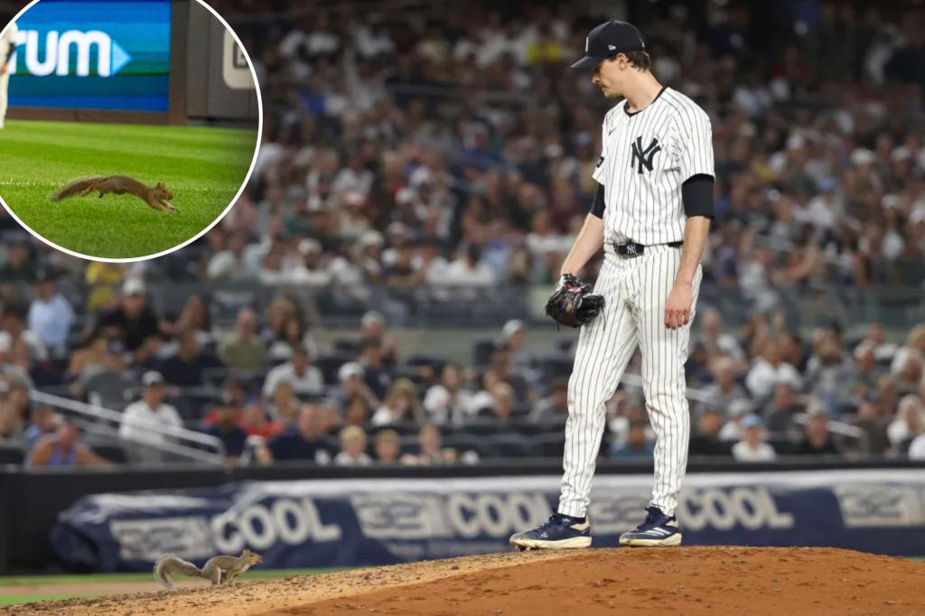 Squirrel прерывает игру Yankees-Red Sox в причудливый момент