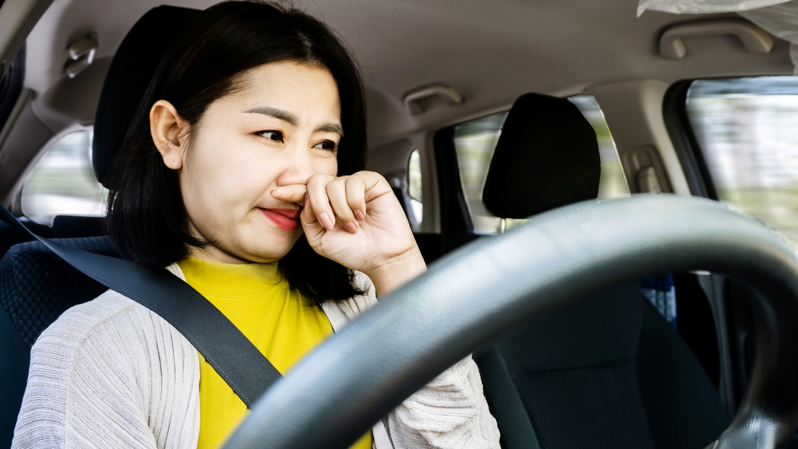 Если освежитель воздуха вашего автомобиля вызывает головную боль, это отличная альтернатива