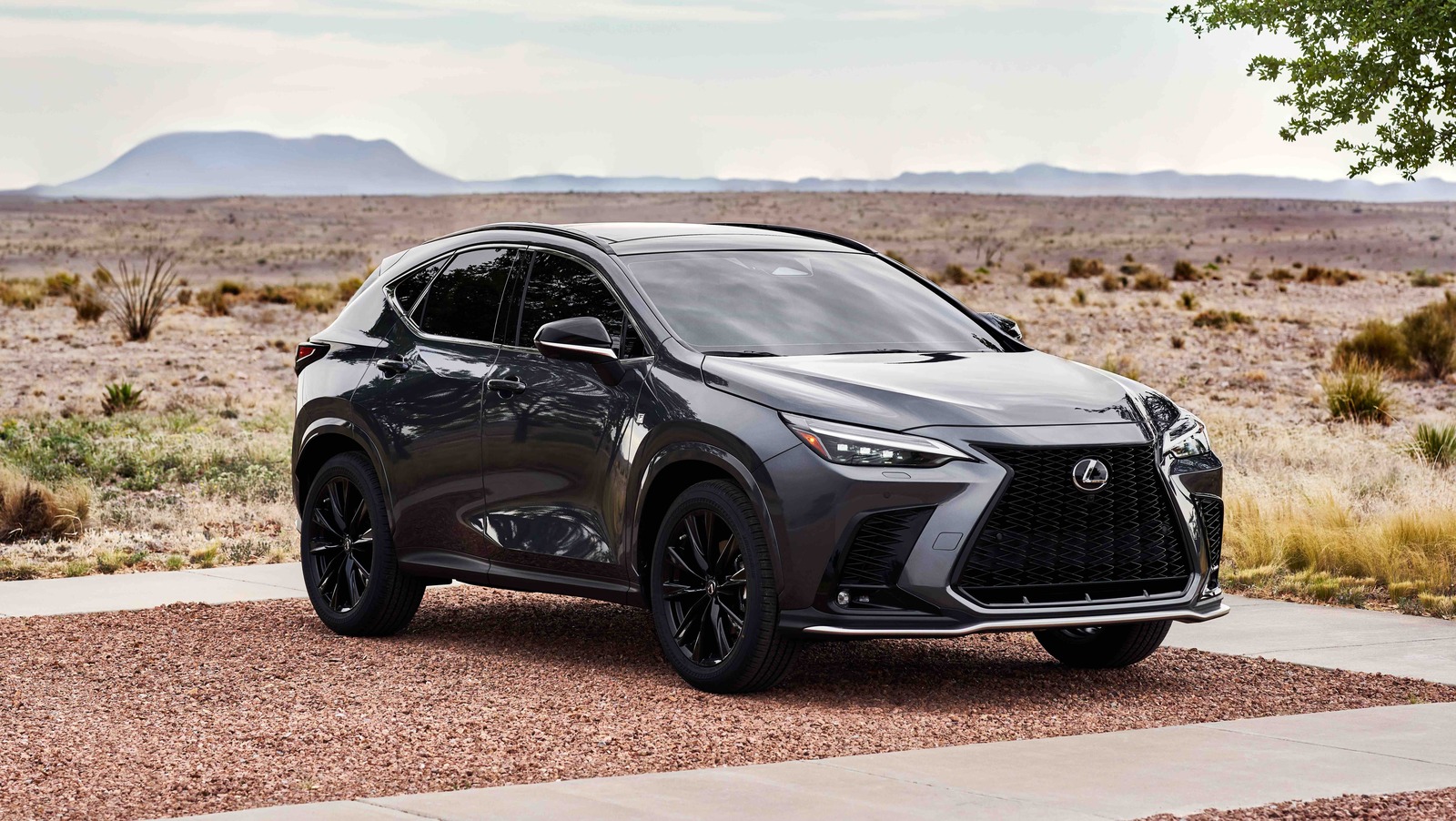 Lexus NX: Что стоят эти две буквы?