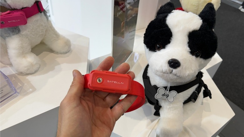 Оранжевый воротник сателлаи иди с фаршированной собакой