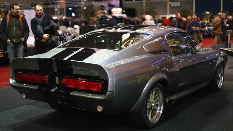 Элеонора Мустанг с ухода за 60 секунд на выставке