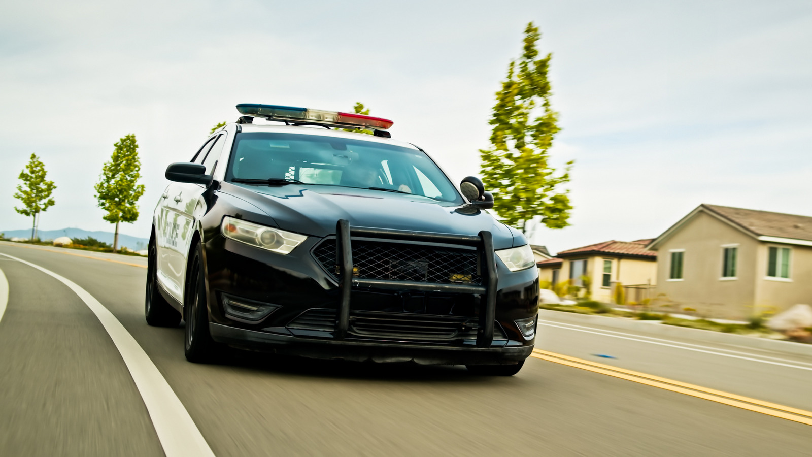 Есть ли задние полицейские машины, есть ремни сиденья?