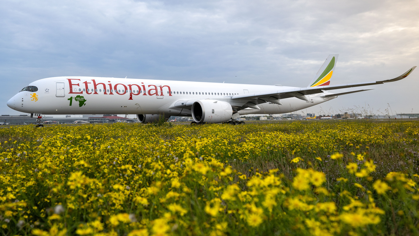 Почему Airbus A350 считается одним из лучших самолетов для длинных рейсов