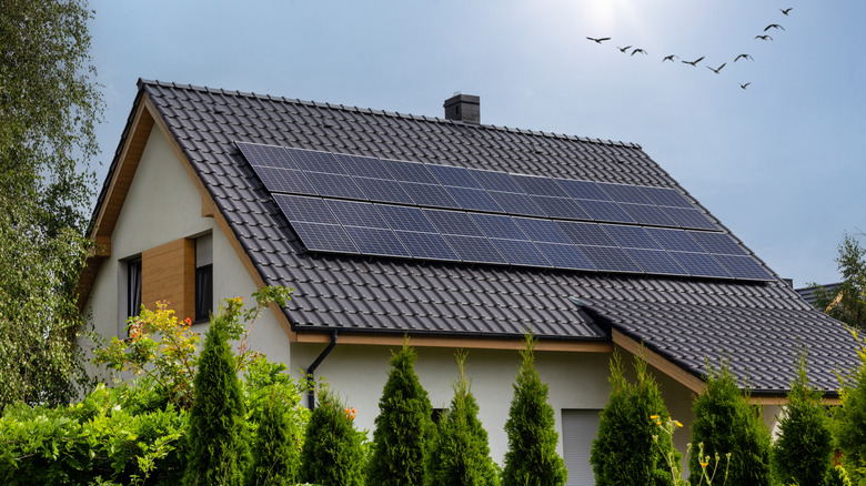 Неудачи остались для доступа к вершине крыши