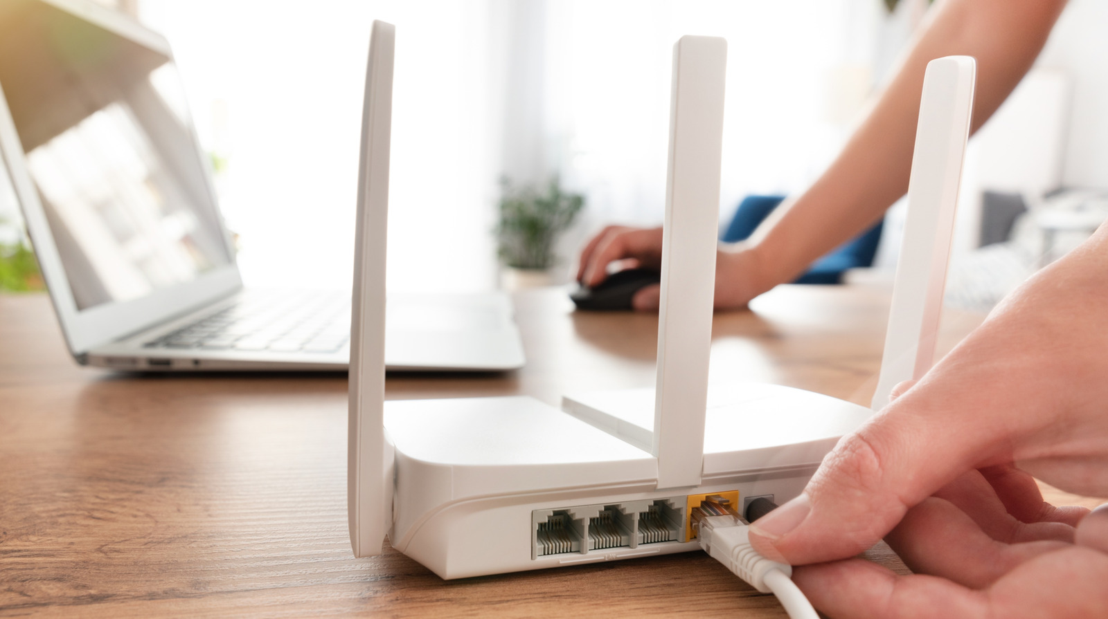 Все, что вам нужно знать об антеннах Wi-Fi (и как их обновить)