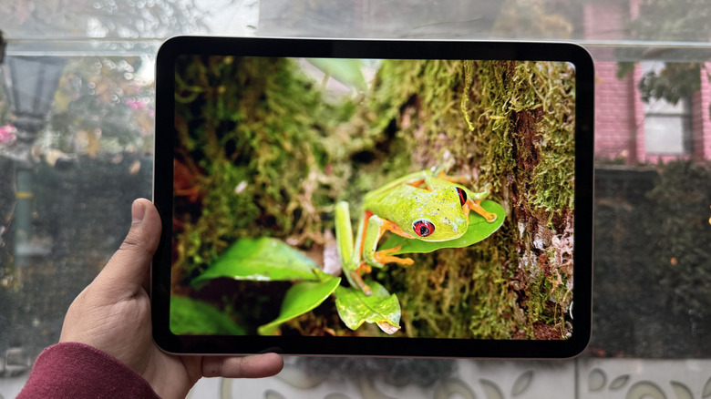 Рука, держащая 11 -го поколения iPad перед зеленью