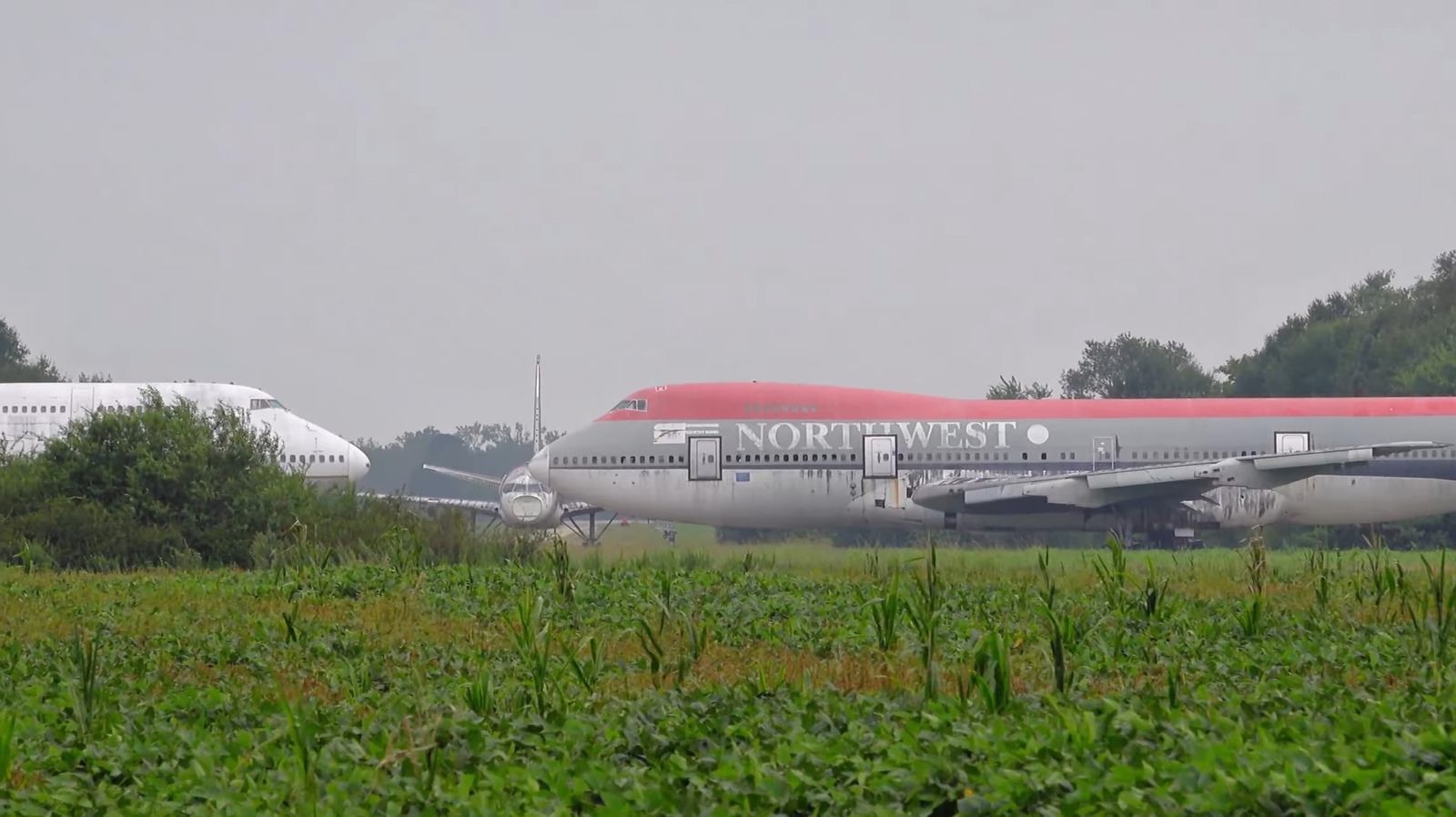 Подросток разделяет редкое представление о самолете Северной Каролины Boneyard, полное гнилых классических самолетов