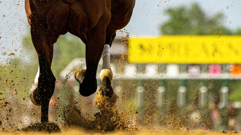 Крупный план ног лошади с громом лошади вдоль гоночной трассы