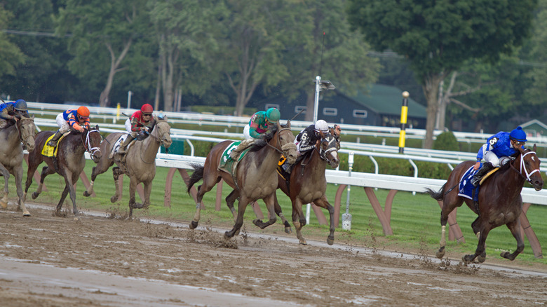 Лошади мчатся на грязной трассе