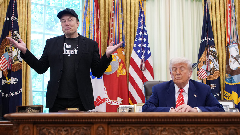 Элон Маск и Дональд Трамп в Овальном кабинете