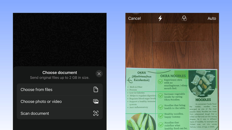 Сканер документов WhatsApp на iPhone