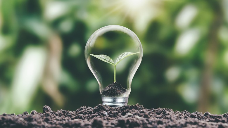 Рисунок лампочки, врезающейся в землю, изображающий зеленую энергию.