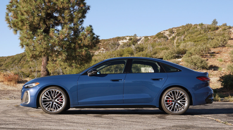 Боковой профиль Audi S5 2025 года