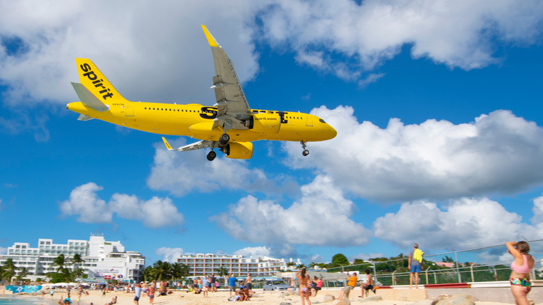 Airbus A320 Neo Spirit Airlines приземляется над пляжем