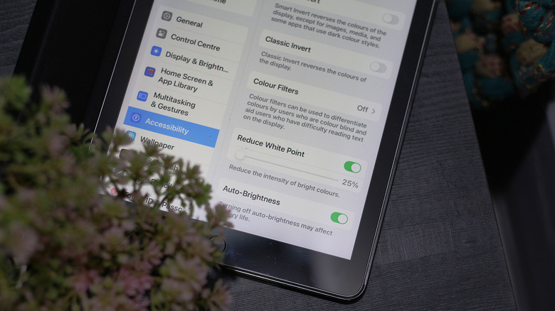 Настройки дисплея на iPad