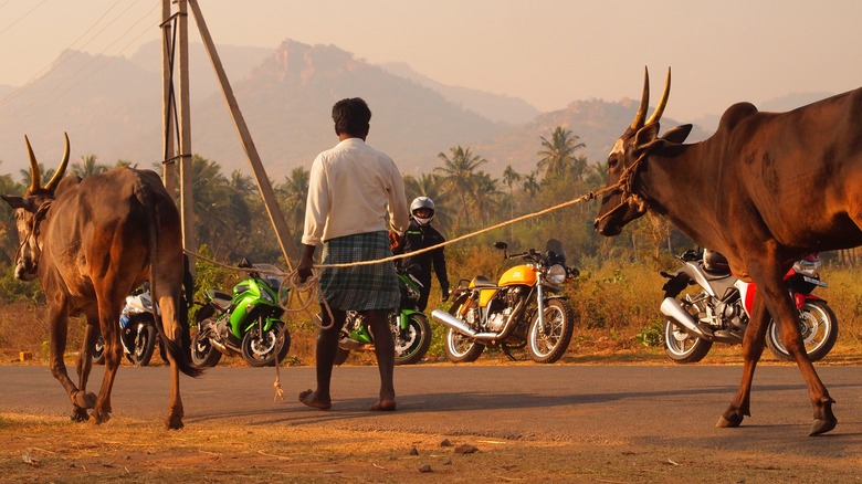 Различные мотоциклы на обочине улицы в Бангалоре, Индия.