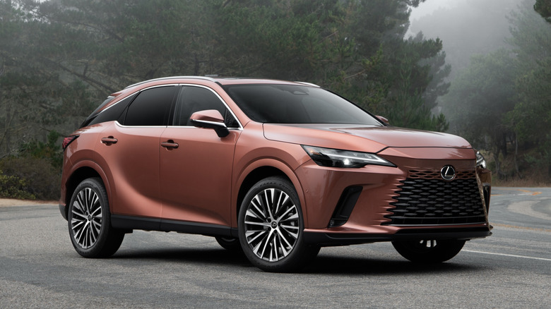 Медный Lexus RX 2026 года припаркован на туманной лесистой дороге.