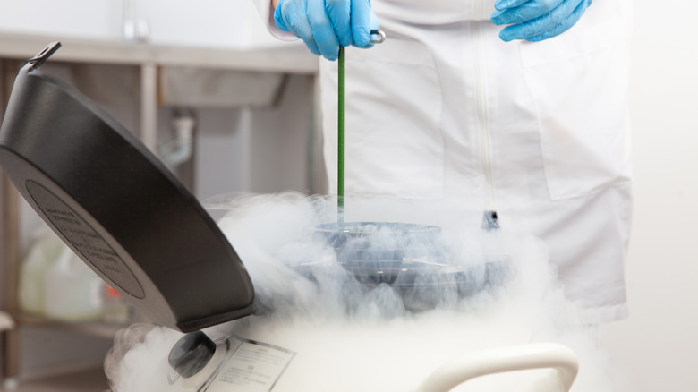 Ученый разливает жидкий азот