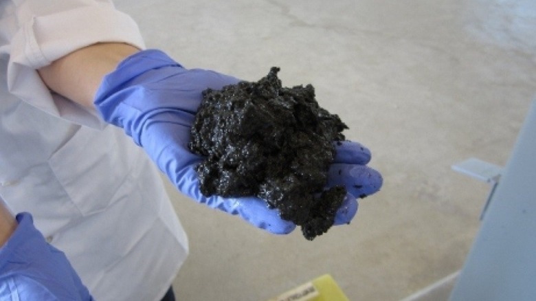 Осадок со станции очистки сточных вод