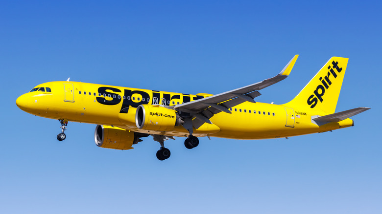 Самолет Spirit Airlines в воздухе, вокруг голубое небо
