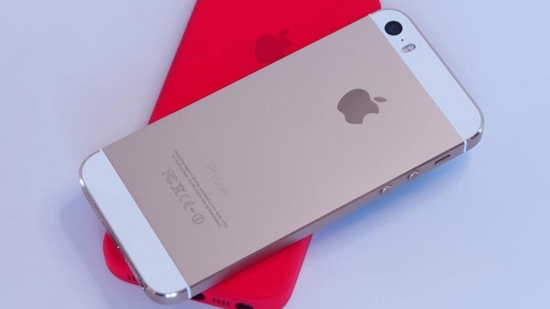 Задняя часть Apple iPhone 5S