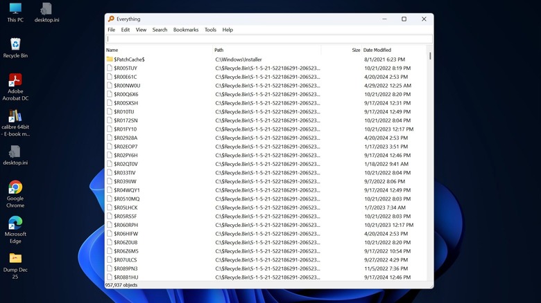 Приложение Everything запущено на ПК с Windows