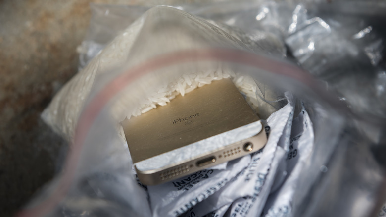 iPhone SE в пластиковом пакете с сырым рисом