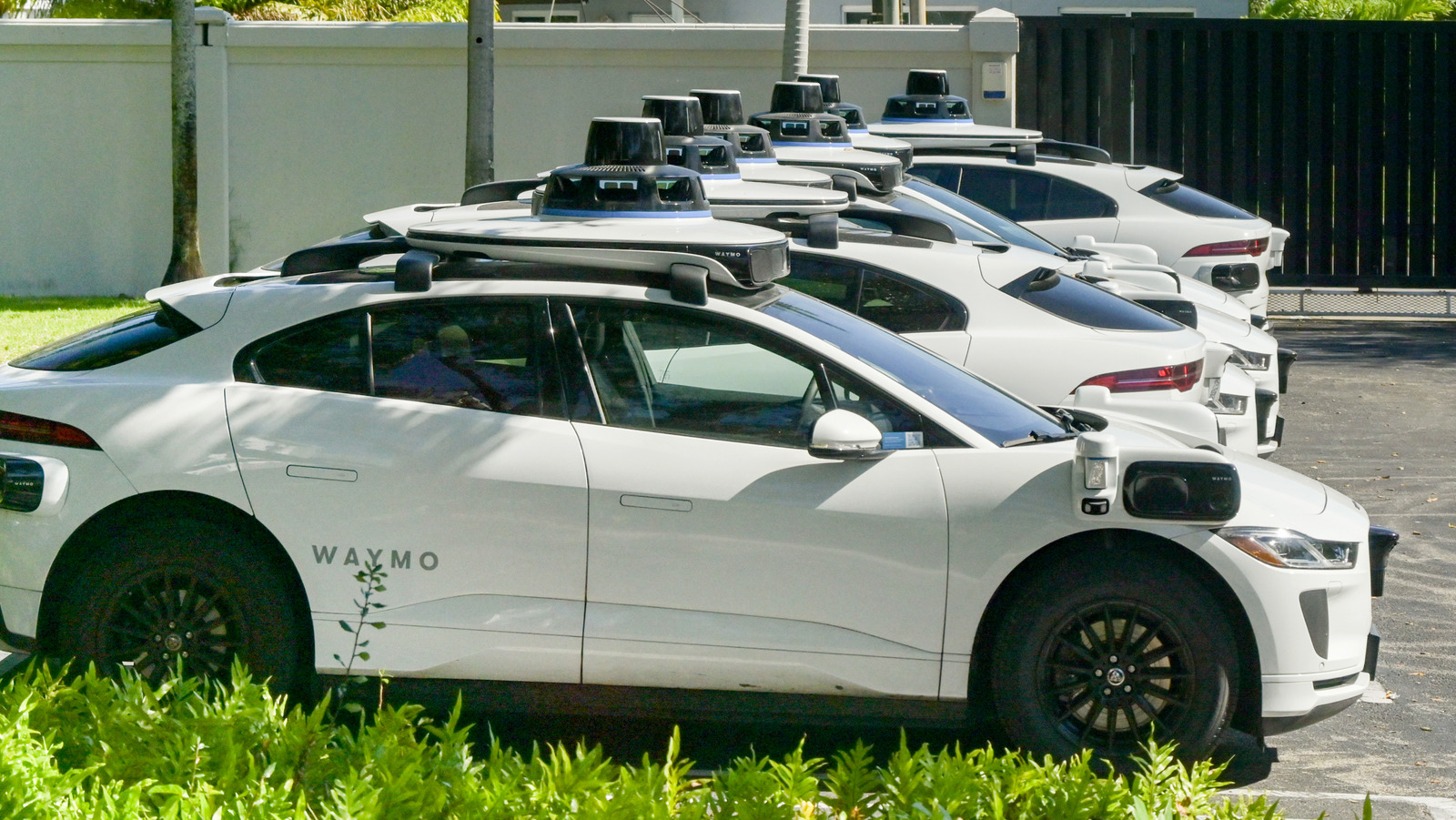 Автомобиль Waymo попал на видео, едущий по путям легкорельсового транспорта