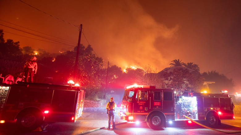 Пожарные борются с лесным пожаром.