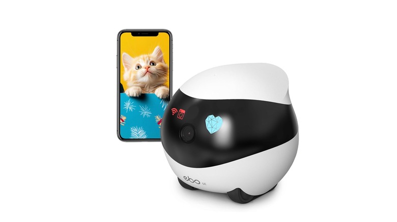 Enabot передвижная камера видеонаблюдения