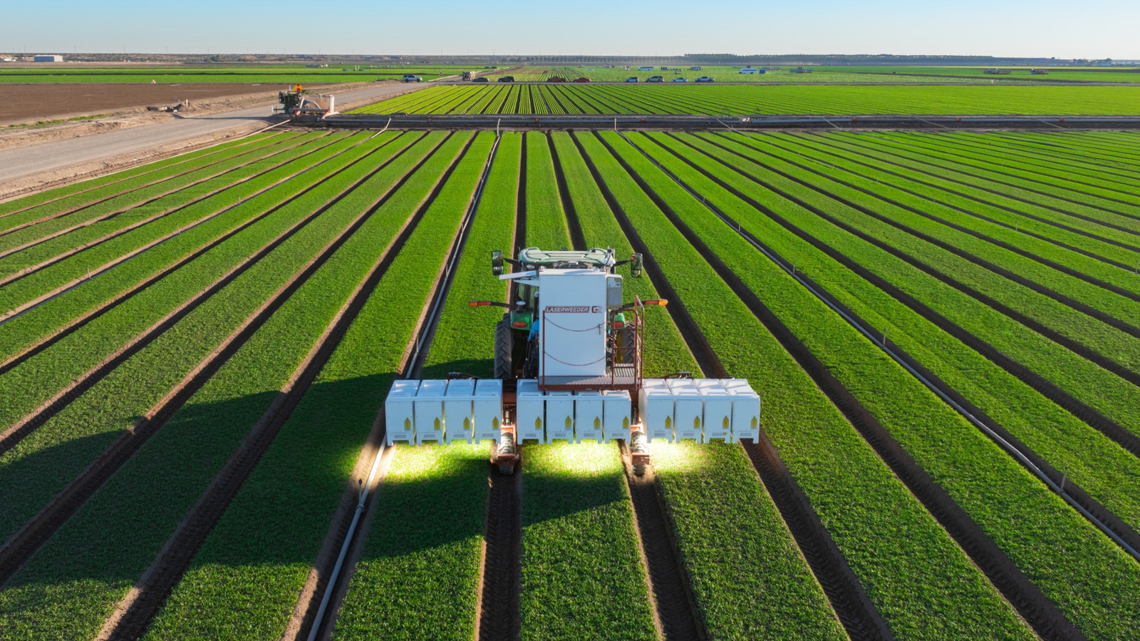 Новая модель искусственного интеллекта позволяет сельскохозяйственным роботам выявлять сорняки, а затем уничтожать их с помощью лазеров