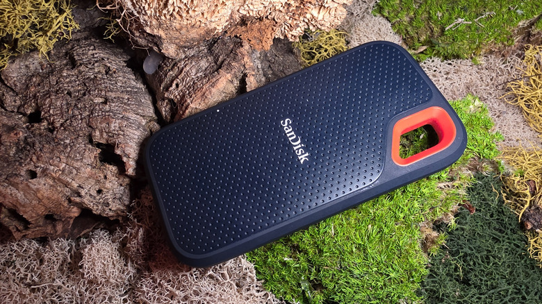 Модель OIder SanDisk Extreme Pro SSD на мшистом фоне