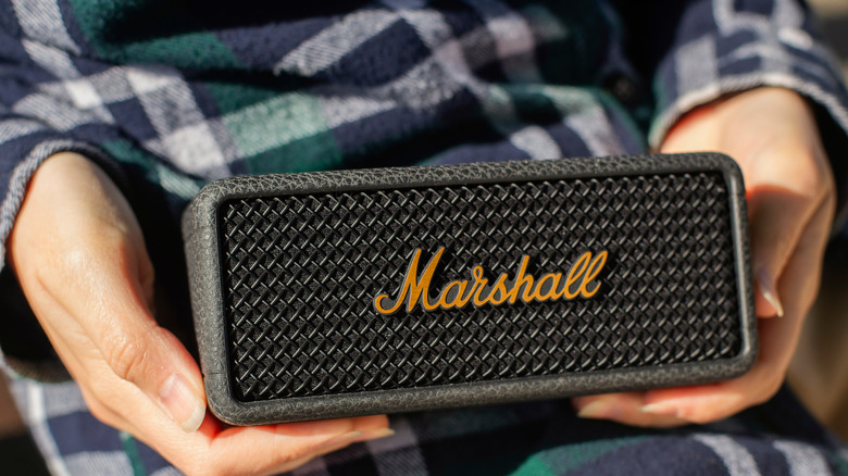 Человек, держащий колонки Marshall