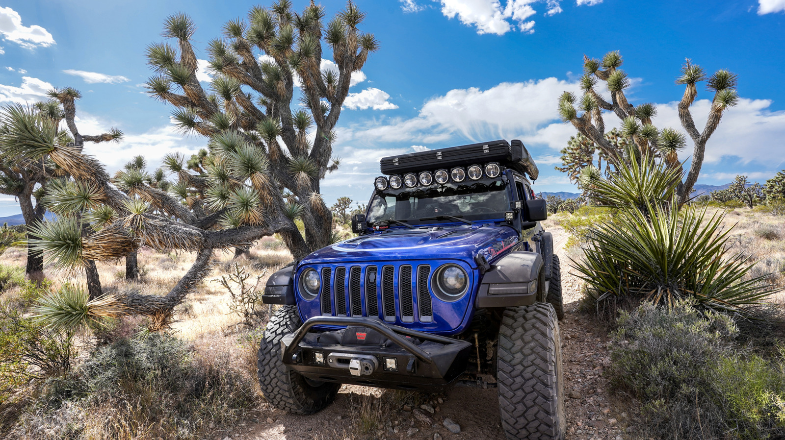 Судья закрывает 2200 миль внедорожных трасс, чтобы сохранить исчезающие виды